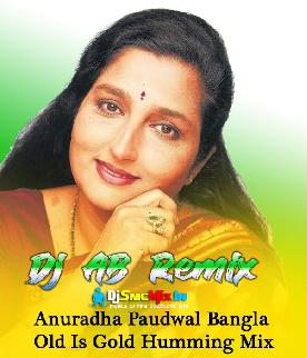 Badhini Hridoy Pinjore (Anuradha Paudwal Bangla Old Is Gold Humming Mix 2022-Dj AB Remix